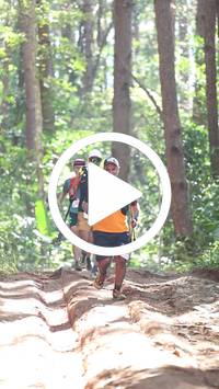 BIB:  <button type="button" onclick="openModal(26569405)" class="btn btn-primary btn-sm float-right" data-toggle="modal" data-target=".modal-high-quality">
                <i class="fa fa-download"></i> Download
                </button>